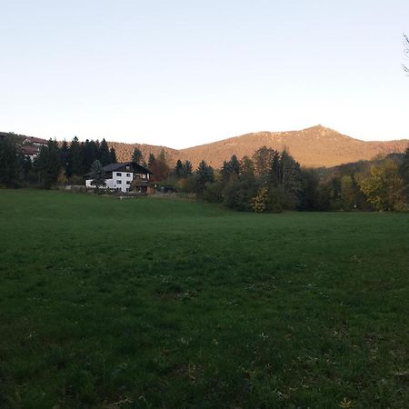 Ferienwohnung Traummichel Лам Экстерьер фото